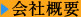 ЊTv